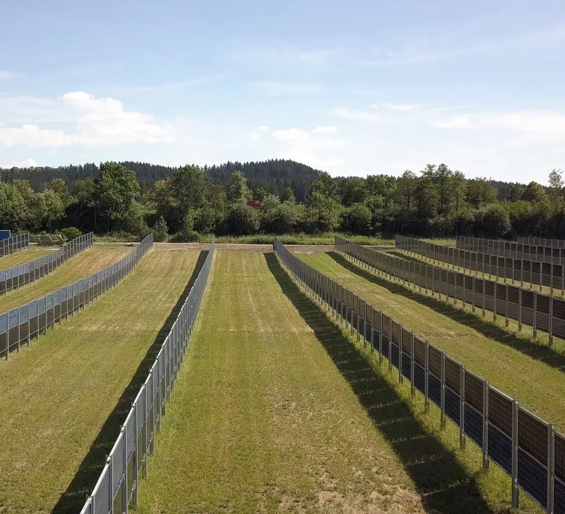 Crop rows seen from directly above